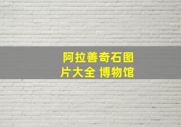 阿拉善奇石图片大全 博物馆